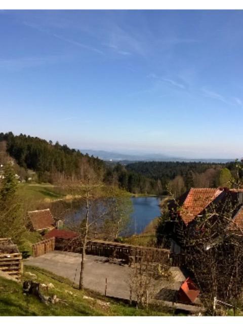 Апартаменти Schlesierhaus Dachsberg im Schwarzwald Екстер'єр фото